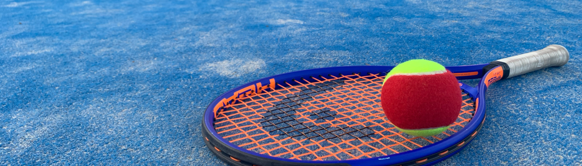 Website Banners Junior Racket2